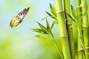 成都大学生遭遇“激情三P”，背后真相令人震惊